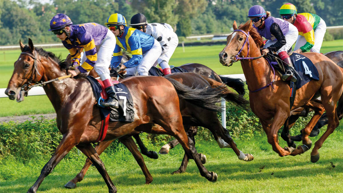 How Do Race Horse Syndicates Work, and Are They Worth It?