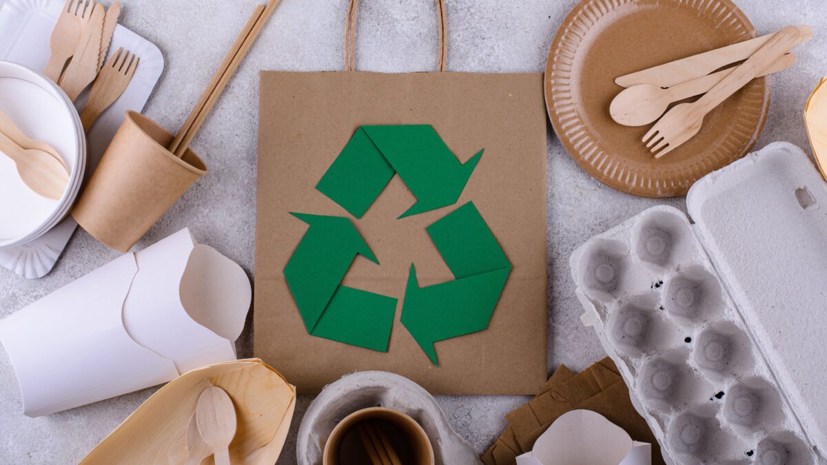 Revolutionizing Sustainability in Disposable Food Packaging