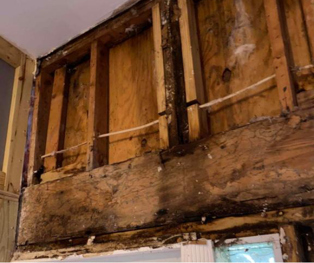 A close-up shows wood rotting and mold setting in after water damage