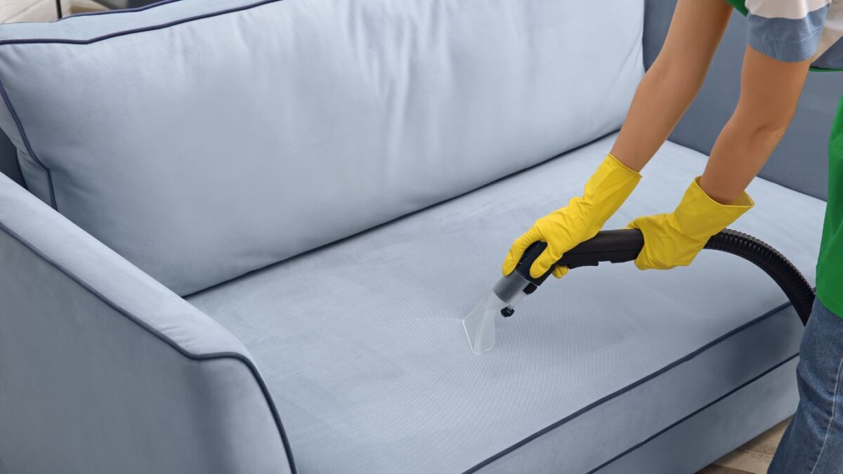 Removing Tough Stains: Solutions for Wine, Ink, and Pet Accidents on Upholstery