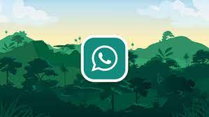 Can Whatsapp GB See Hidden Profile Picture