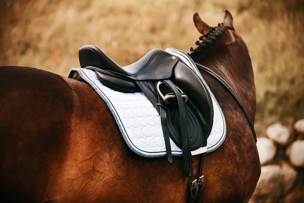Understanding the Basics of Dressage Saddles: A Comprehensive Guide