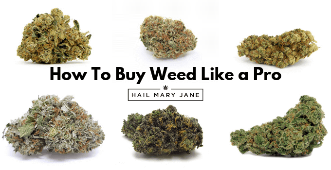 A Guide on How to Buy Weed Online in the UK (2024)