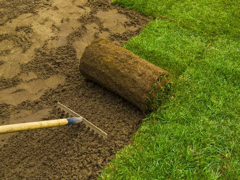How do you prepare instant lawn?
