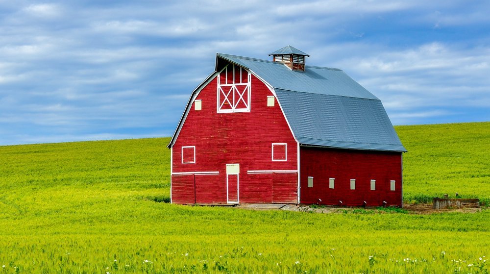 How Do You Choose the Best Barn Painting in Ontario?