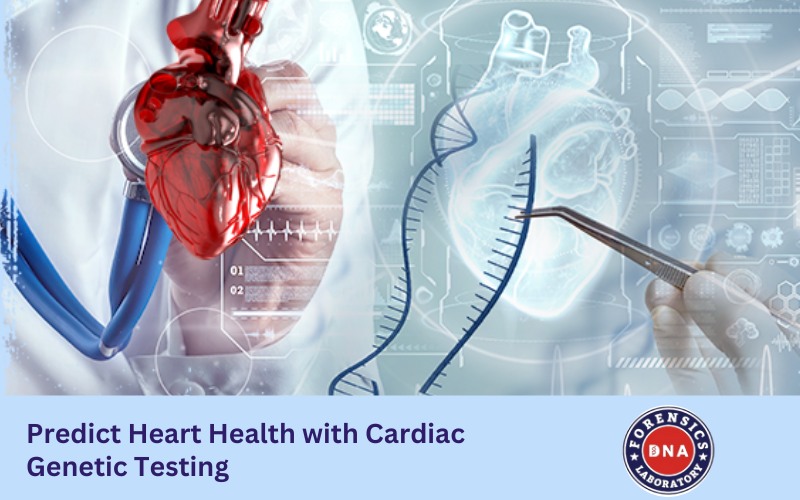 Predict Heart Health with Cardiac Genetic Testing