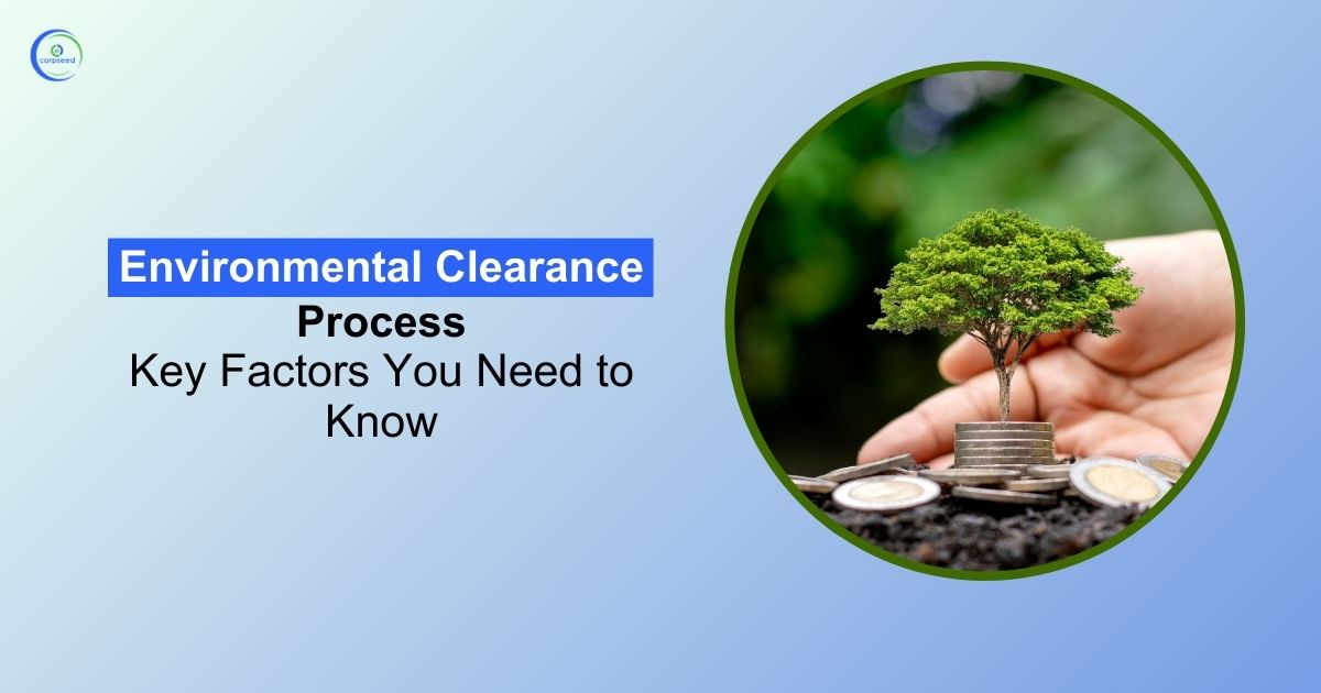 Environmental Clearance Process: Key Factors You Need to Know