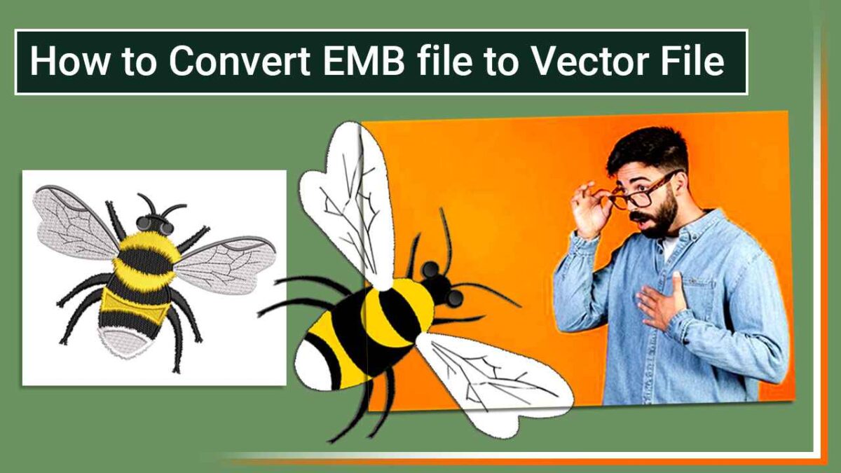 7 Important Steps | How to Convert EMB Files to Vector Files?