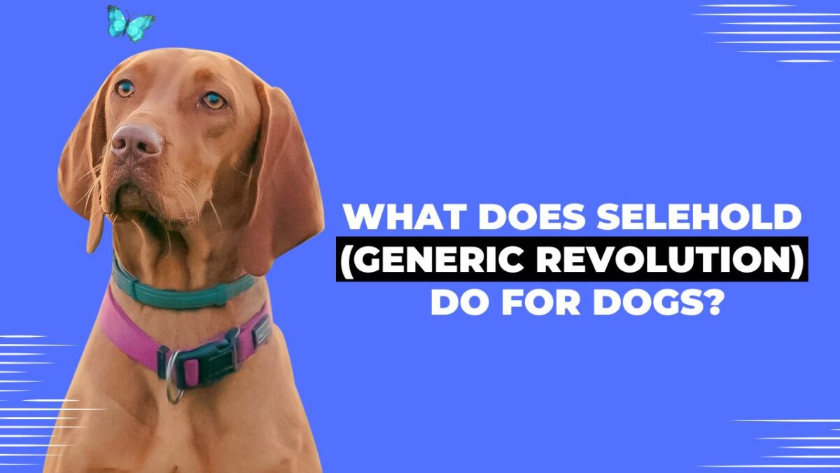 What does Selehold (Generic Revolution) Do for Dogs?