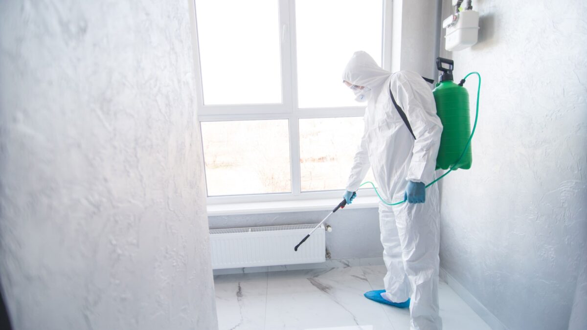 5 Essential Factors to Consider When Hiring A Mold Inspection Homestead Service