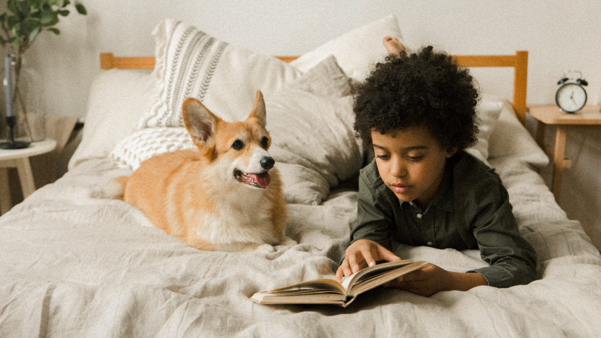 Furry Friends: The Dos and Don’ts of Introducing a Pet to Your Family