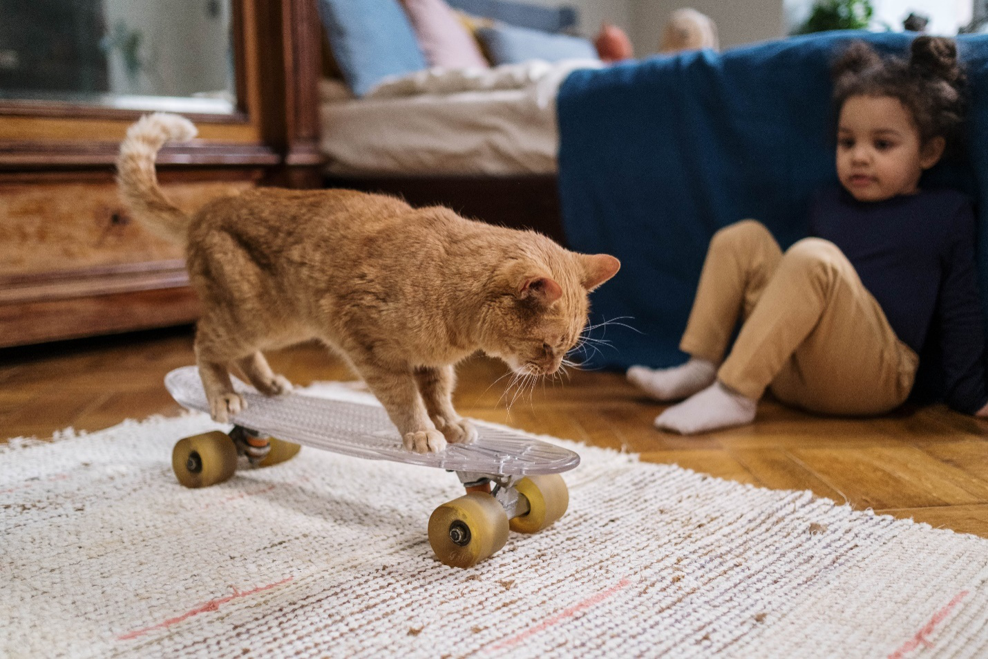  A child playing with a cat on a skateboard.