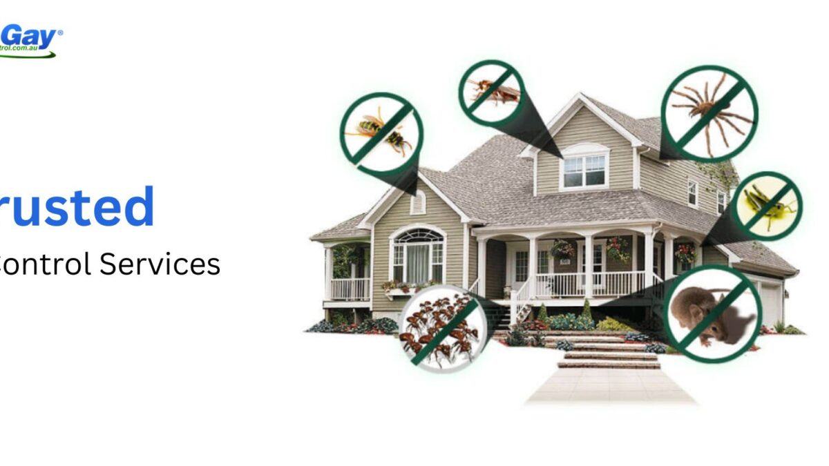 Protecting Your Home: The Importance of Trusted Pest Control Services