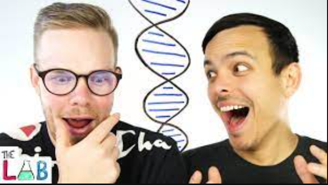 The Ultimate Fake DNA Test Prank: How to Fool Your Friends