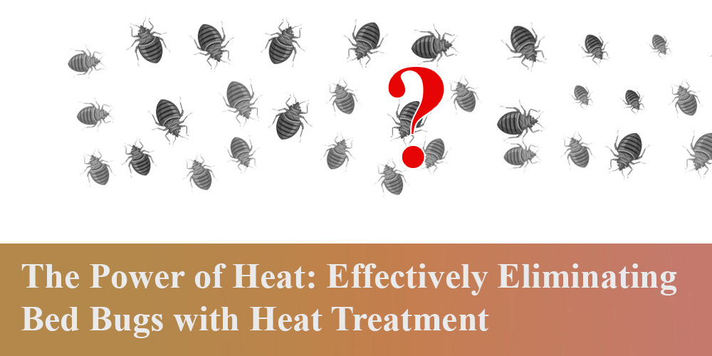 The Power of Heat: Effectively Eliminating Bed Bugs with Heat Treatment
