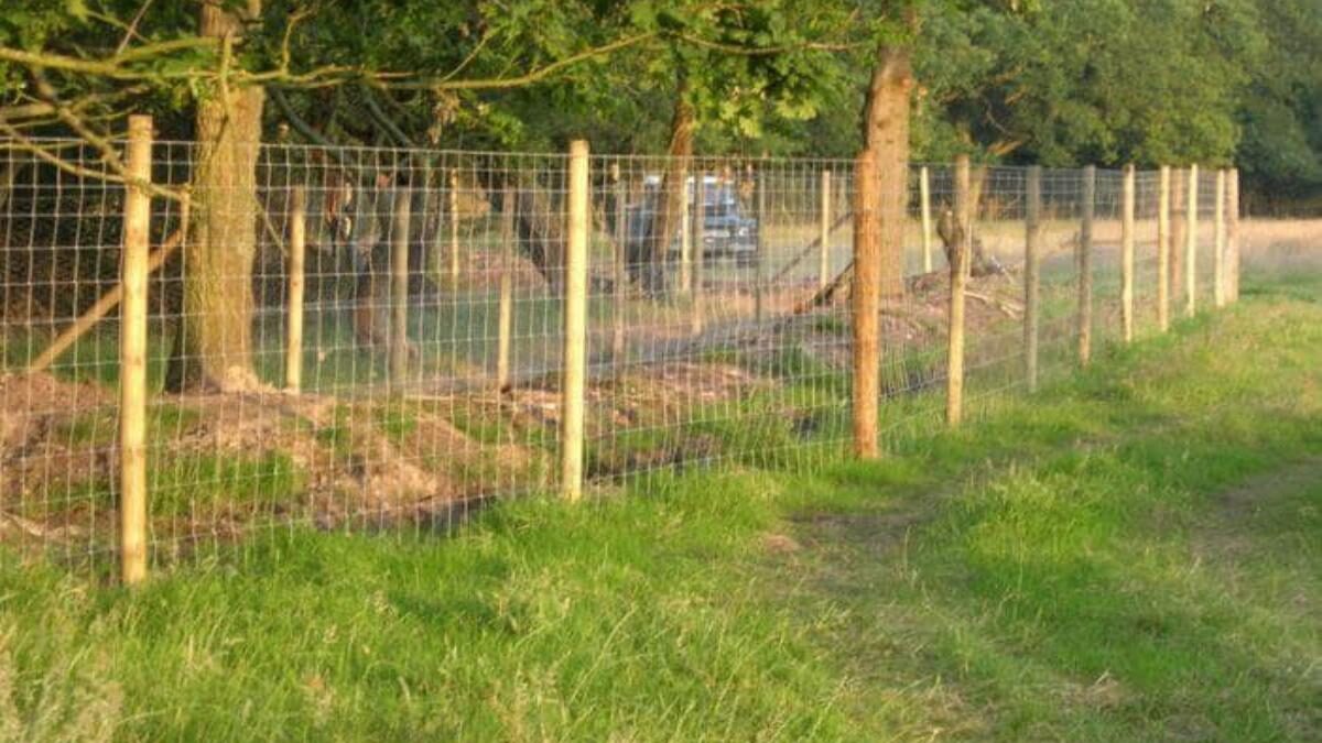 Agricultural Fencing in Bournemouth: Protecting Your Farm with Expert Solutions