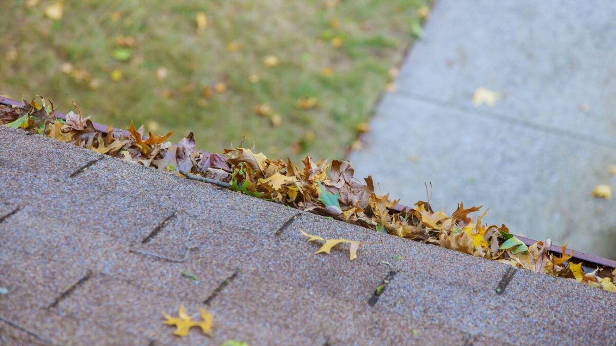 10 Signs That You Need Gutter  Cleaning Services
