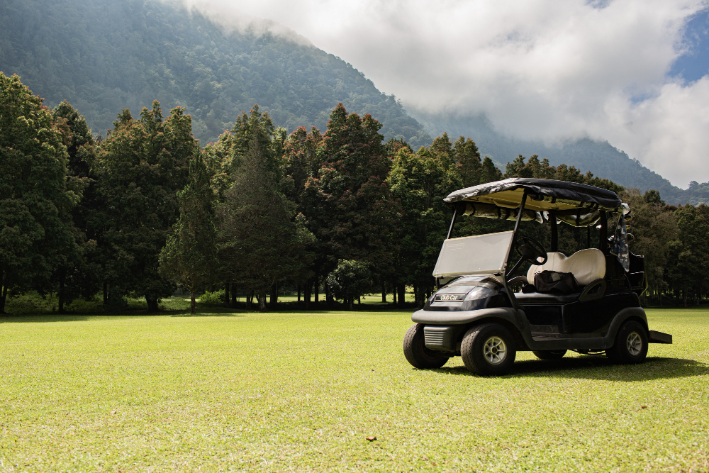 Cruising the Coast: Golf Carts for Sale in Oxnard