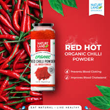 Natureland Organics’ Red Chilli Powder: A Winter Essential for Health and Flavor