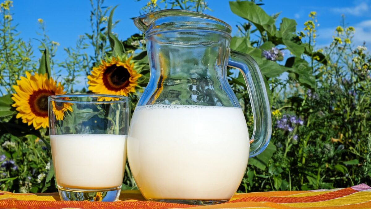 Toned Milk vs. Full Cream: Which One Fits Your Dietary Needs?