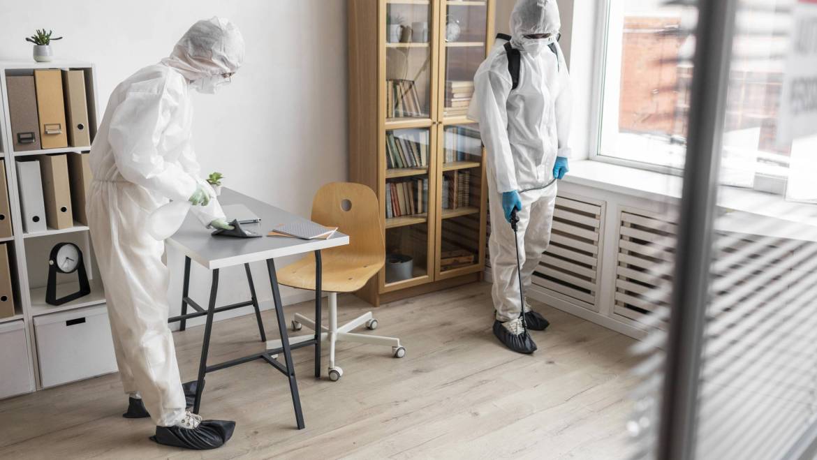 Pest Control Cleaning Service In Brisbane: Keeping Your Home Safe