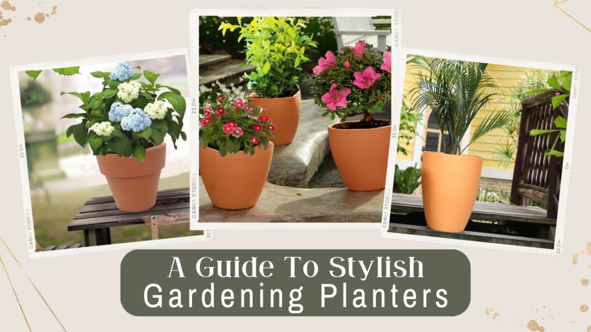 A Guide To Stylish Gardening Planters