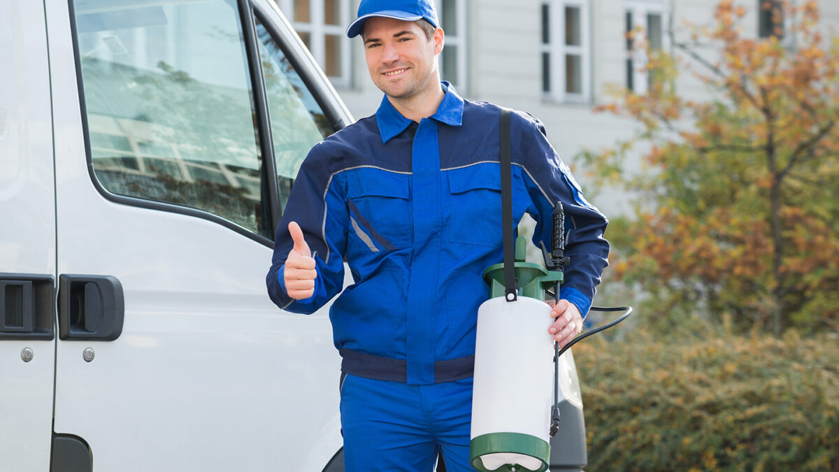 Emergency Pest Control Melbourne: Swift Solutions for Pest Infestations