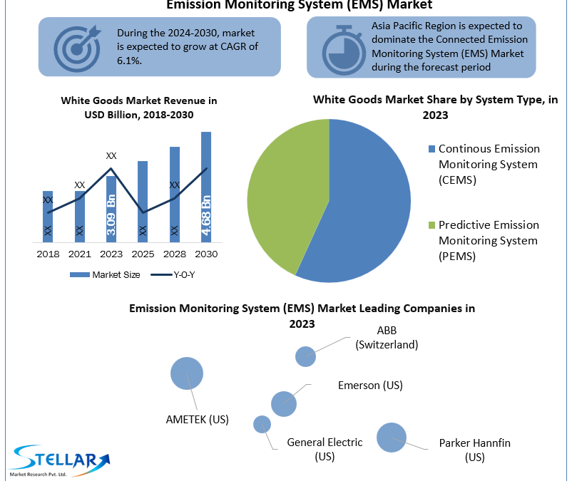 Emission Monitoring System (EMS) Market analysis of revenue growth