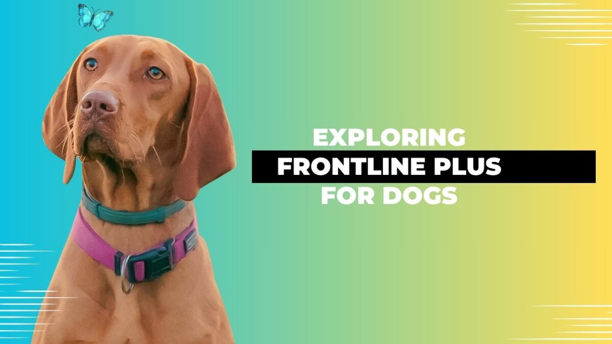 Exploring Frontline Plus for Dogs