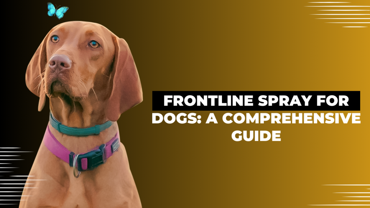 Frontline Spray for Dogs: A Comprehensive Guide