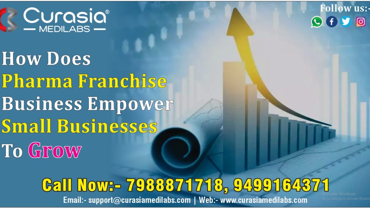 How Does Pharma Franchise Business Empower Small Businesses To Grow