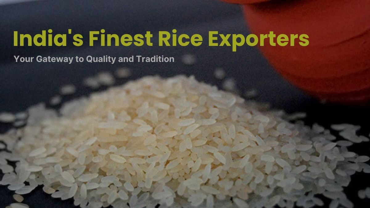 Introducing India’s Finest Rice Exporters: Your Gateway to Quality and Tradition