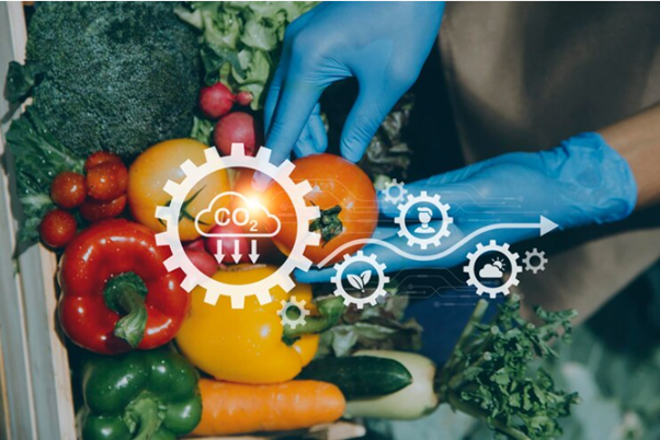 The Future of Automated Food Safety Compliance with Artificial Intelligence
