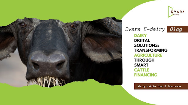 Dairy Digital Solutions: Transforming Agriculture Through Smart Cattle Financing