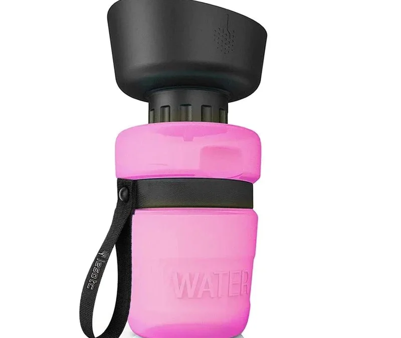 Choosing The Best Portable Water Bottles For Dogs