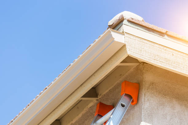 Enhancing Home Efficiency and Aesthetics with Seamless Rain Gutters
