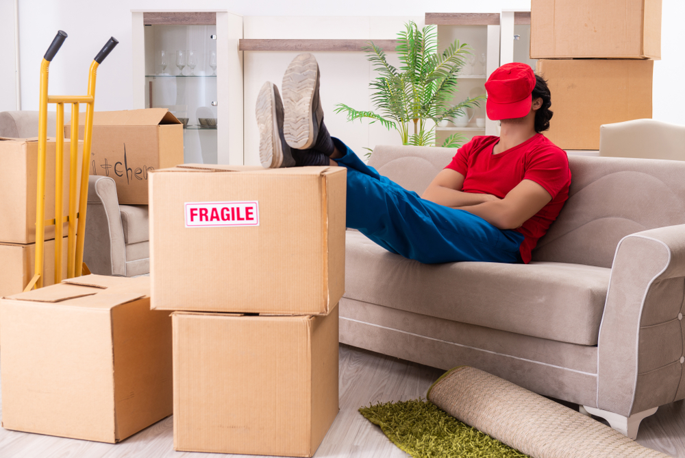 Smooth Moves: Revealing the Best Packers and Movers in Hisar