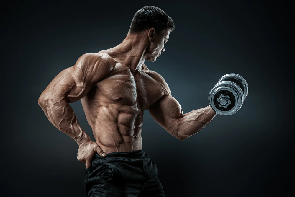 Crafting Your Shredded Workout Masterplan