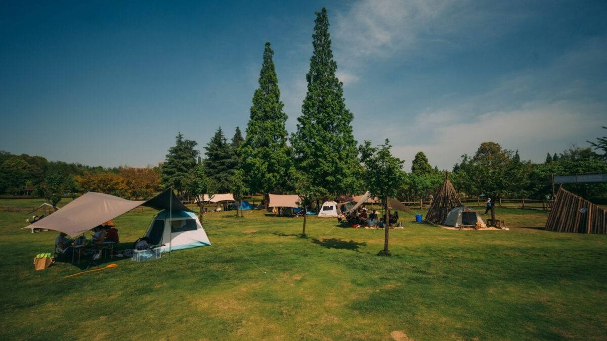 How to Make Camping a Breeze in the Spring?