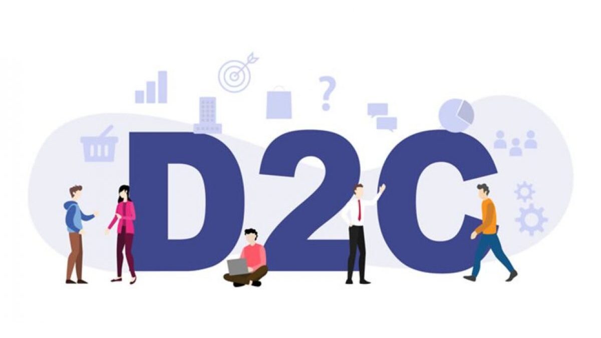 What is D2C Ecommerce Website Development?