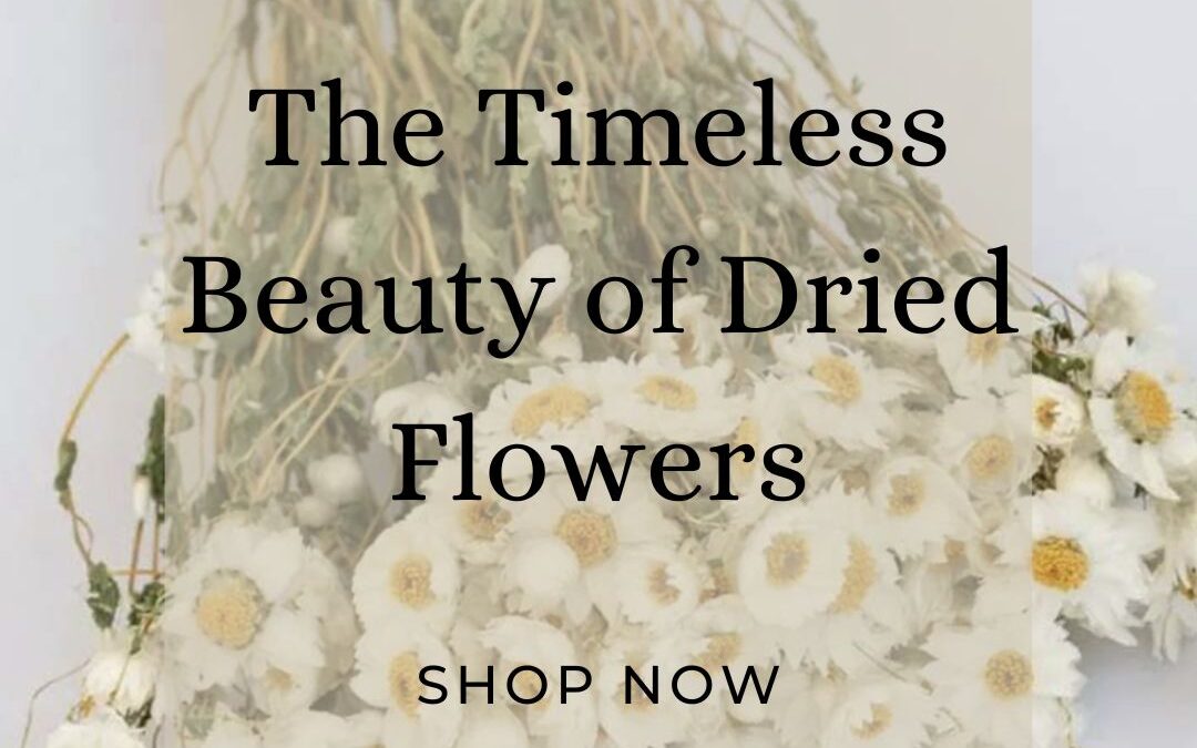 The Timeless Beauty of Dried Flowers: Why They’ll Capture Your Heart