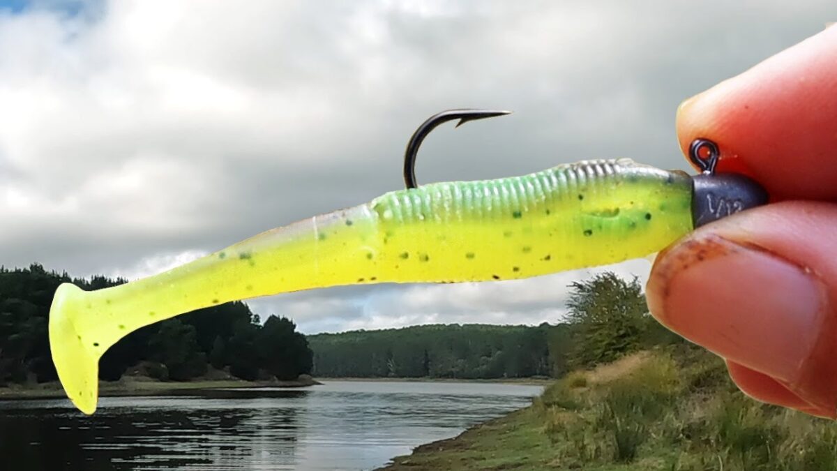 Unlocking Success With 10 Tips To Improve Your Soft Plastics Fishing