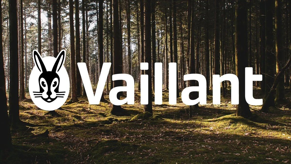 10 Questions You Can Ask When Engaging A Firm For Vaillant Boiler Repair in London!