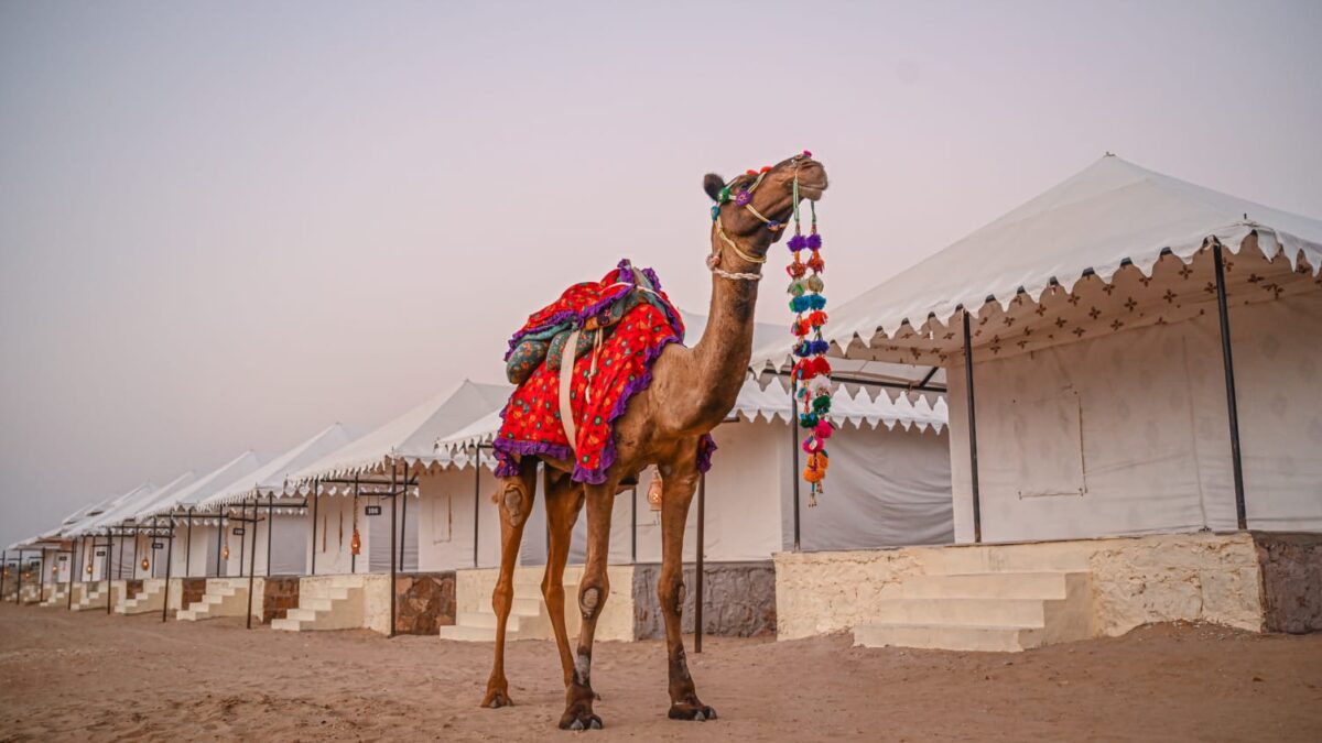 Exploring the Wonders of Safari Camping in the Sam Desert near Jaisalmer