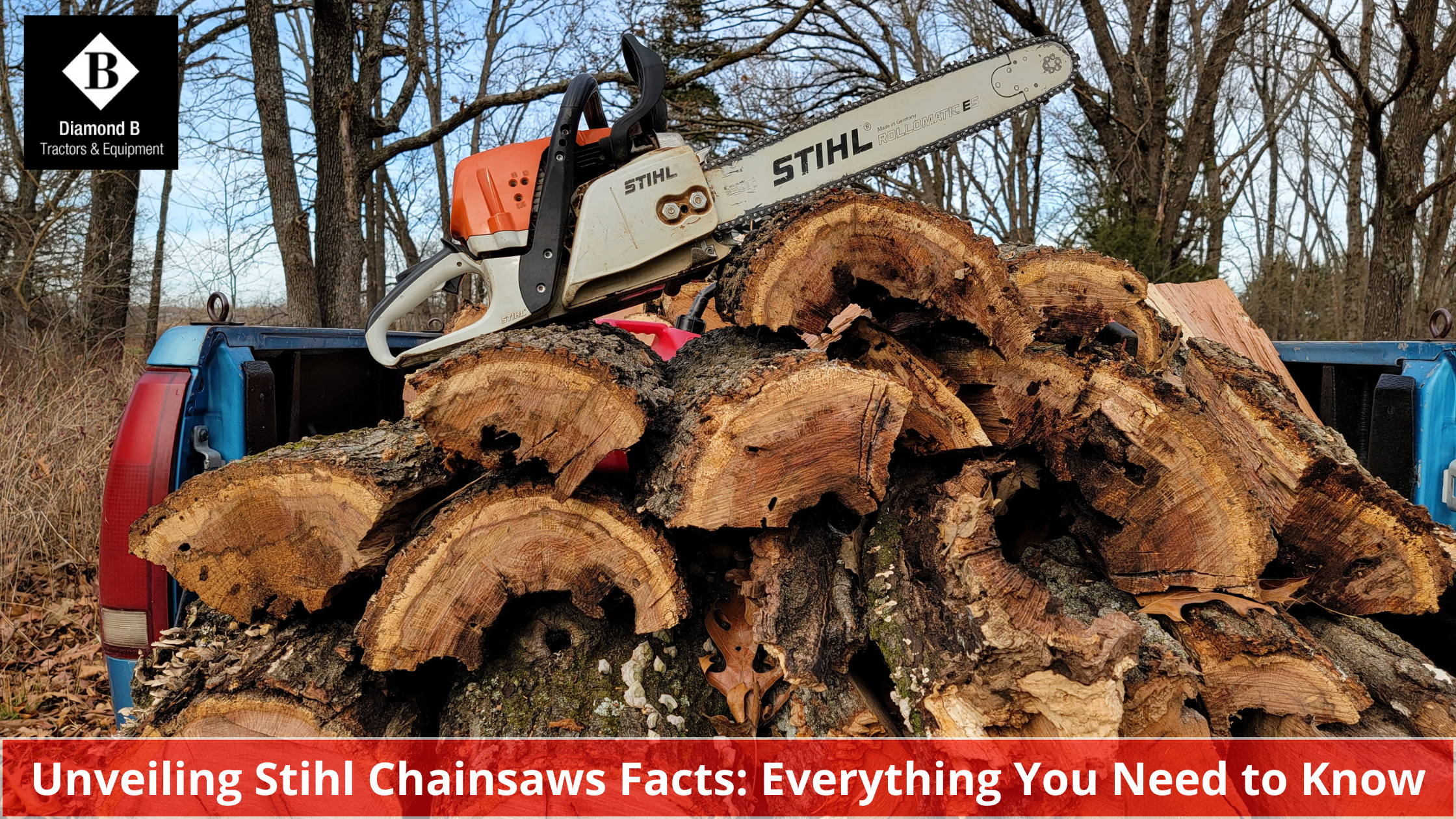 Unveiling Stihl Chainsaws Facts