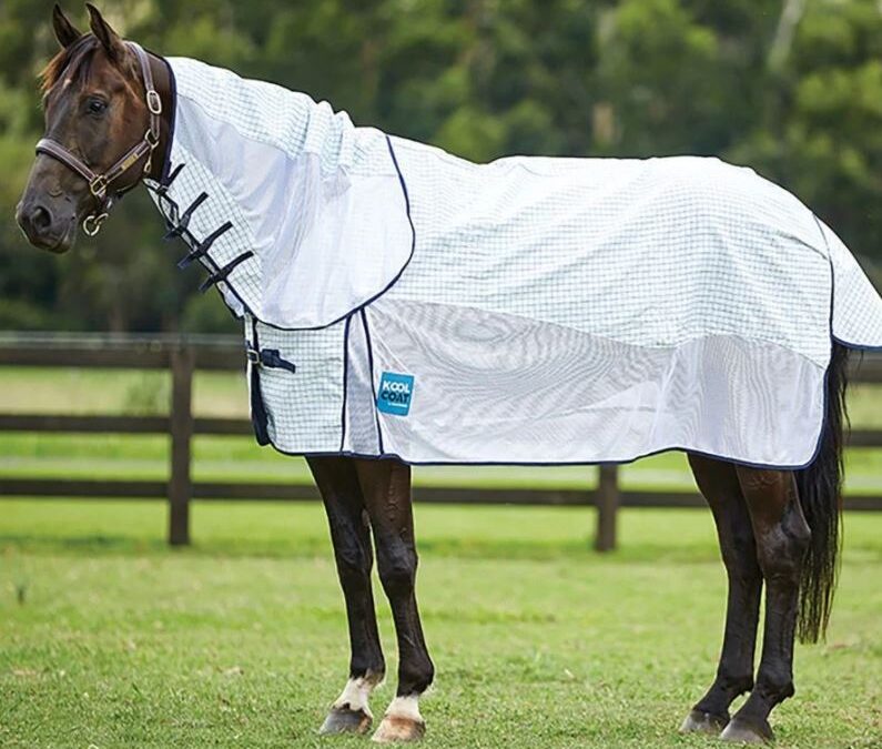 Enhancing Comfort and Protection with Horse Clothing and Fly Sheets
