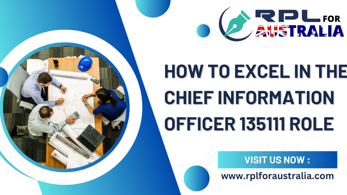 How to Excel in the Chief Information Officer 135111 Role
