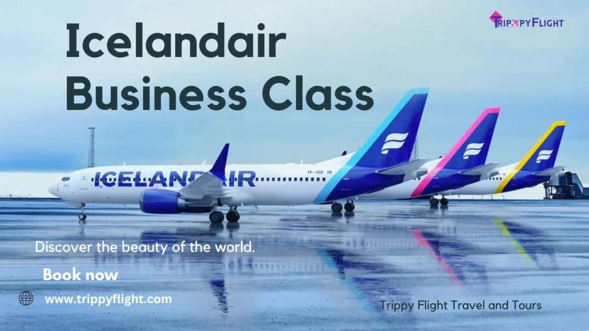 Business Class on a Boeing: What to Expect with Icelandair