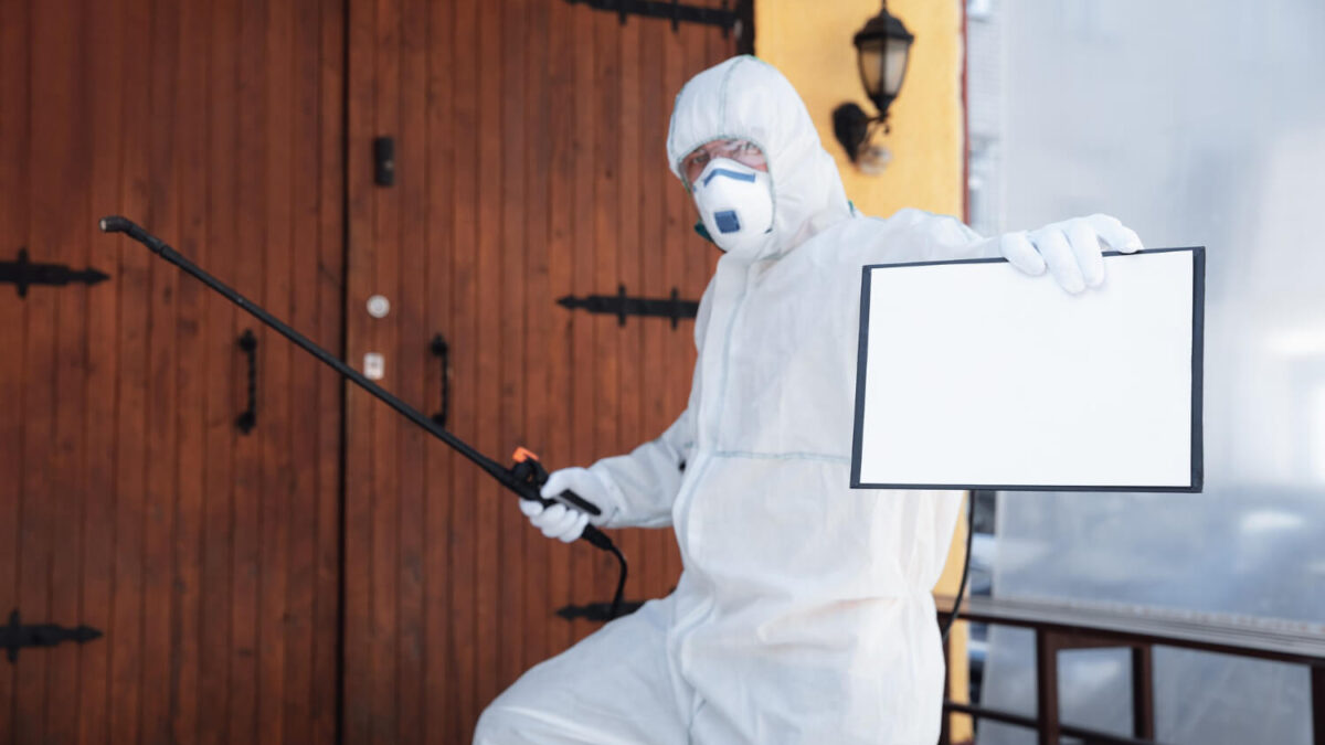Keeping Faridabad: Pest-Free Effective Pest Control Solutions