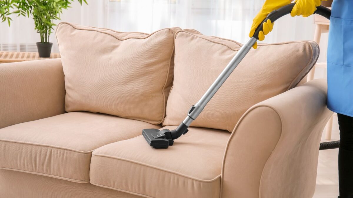 Eco-Friendly Sofa Cleaning: Green Solutions for a Healthier Home